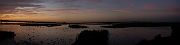 David Plant Photography - Wildlife Photographer - Welney at sunset - Cambridgeshire